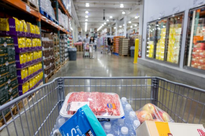 Costco Business Checks: Pricing, Security, and More